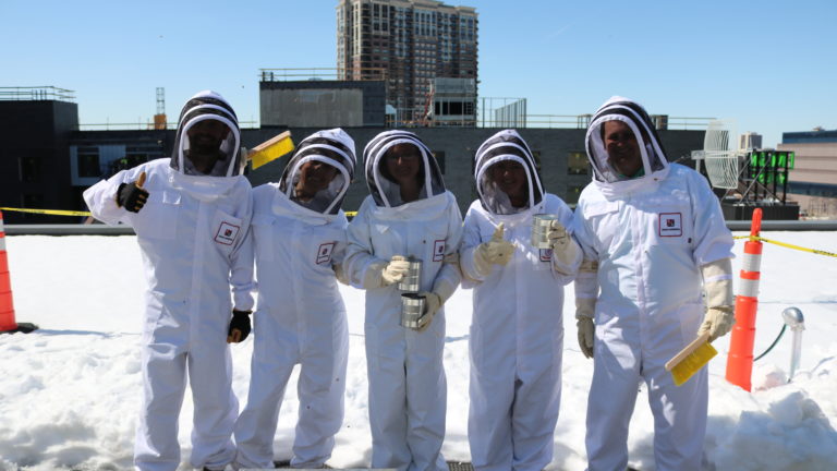 Buzz Squad Installation Crew