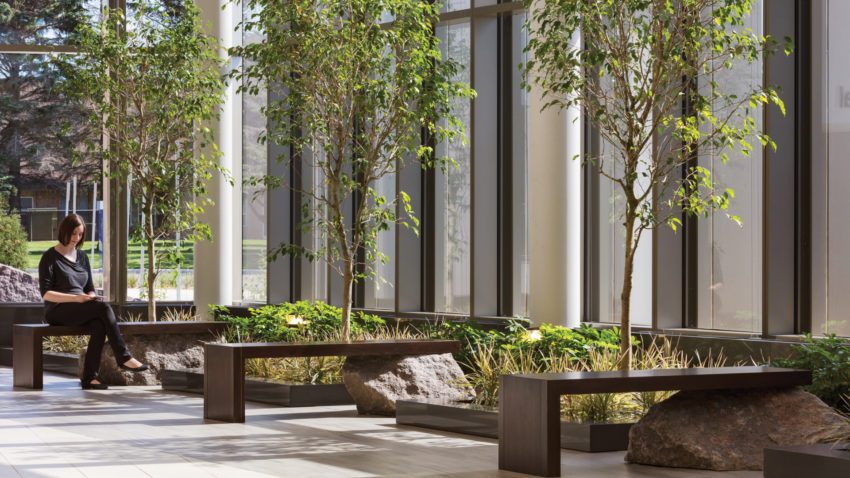 Brookings Hospital Addition and Renovation Exterior Green Space Sitting Area