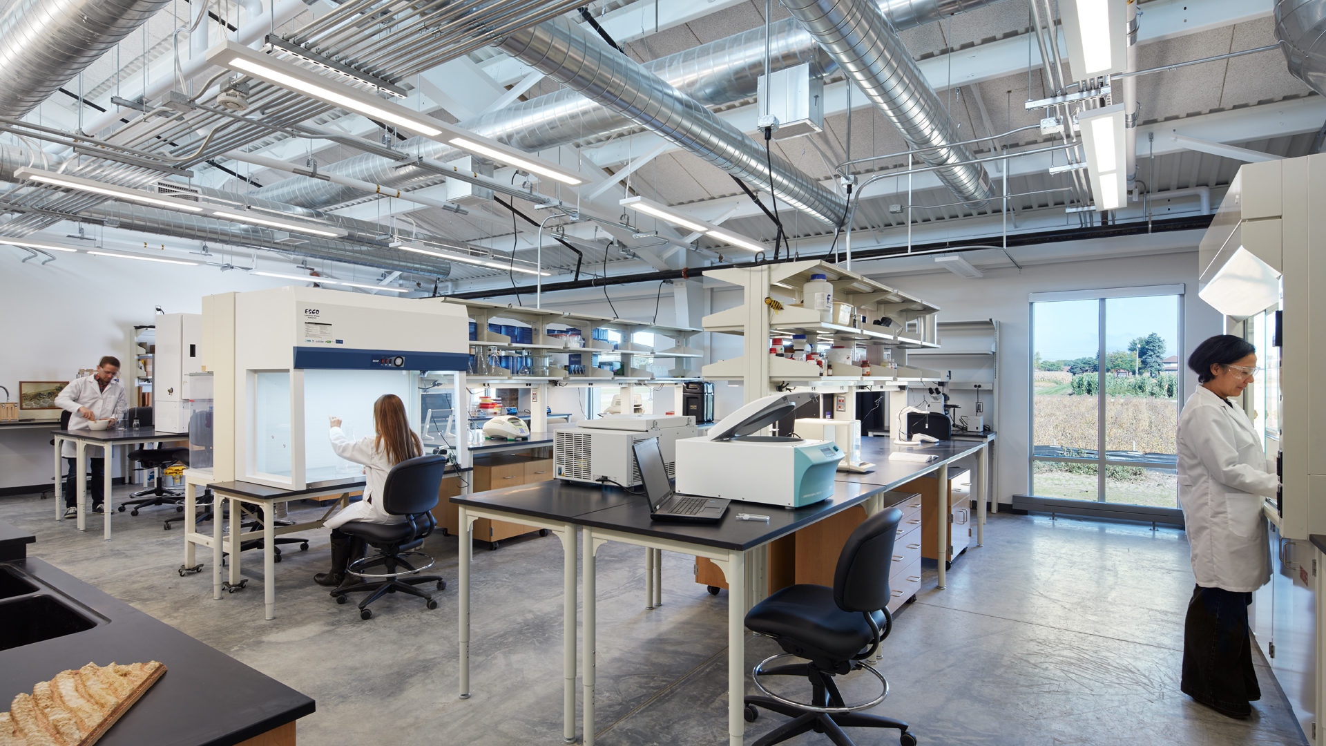 University of mn research jobs