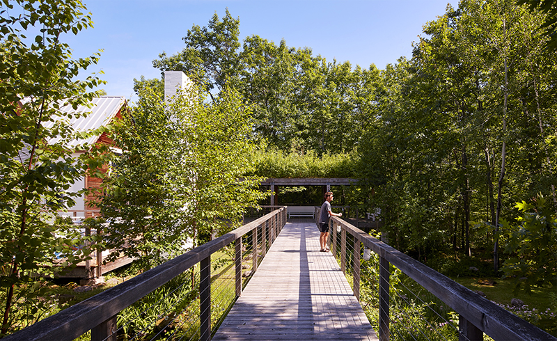 Boardwalk, Wild Rice Retreat