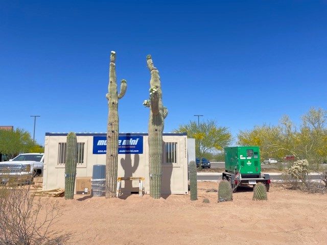 Saguaro and barrel cacti have been temporarily relocated during construction. 
