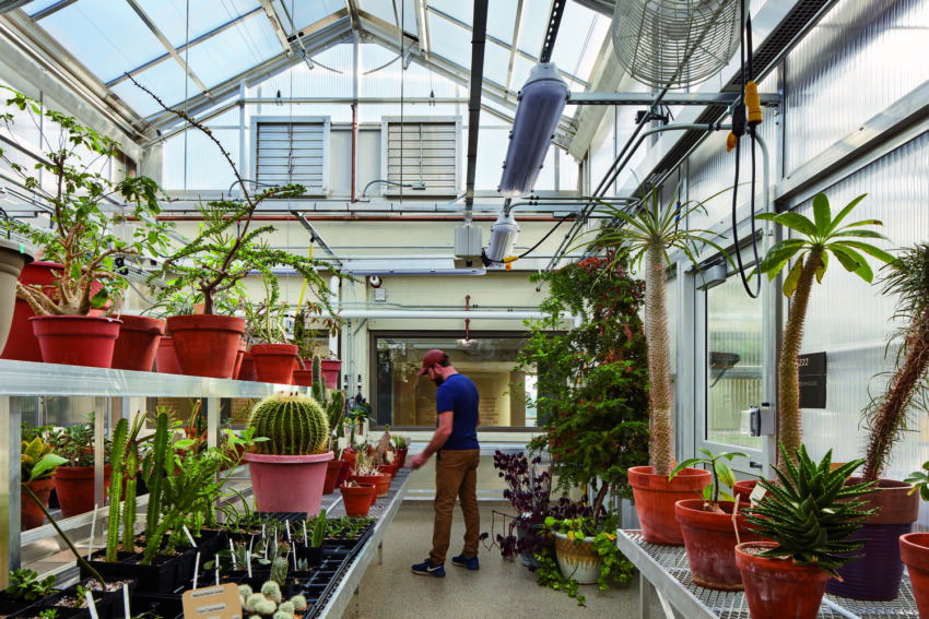 Greenhouse, Nobel Hall, Gustavus Adolphus College