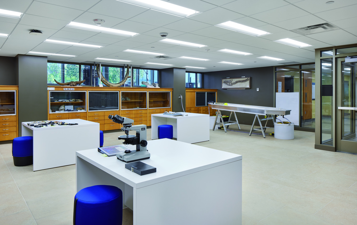 Credit Line: â€œAnthony Gilbert Â© Gaffer Photographyâ€