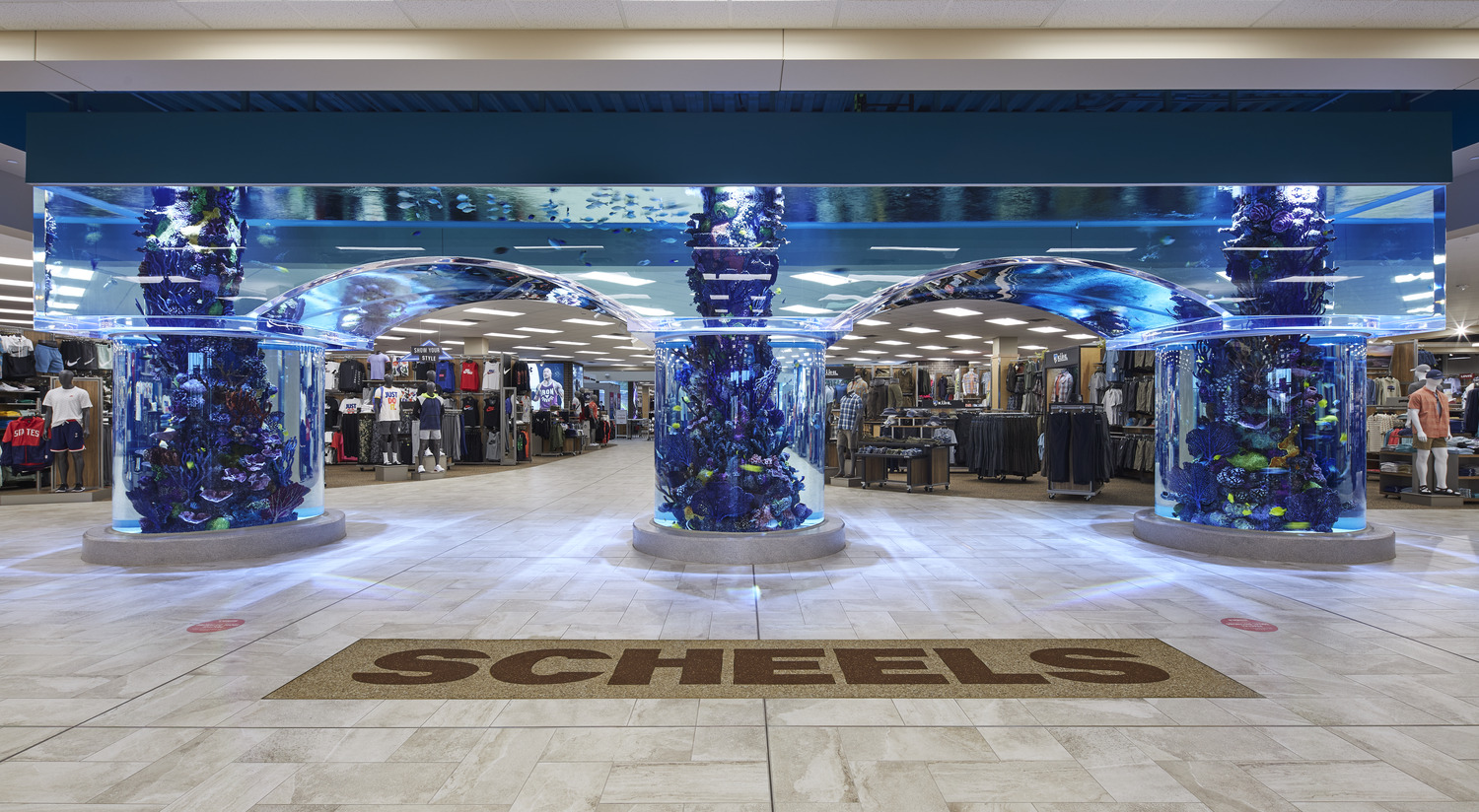 Credit Line: “Anthony Gilbert © Gaffer Photography”