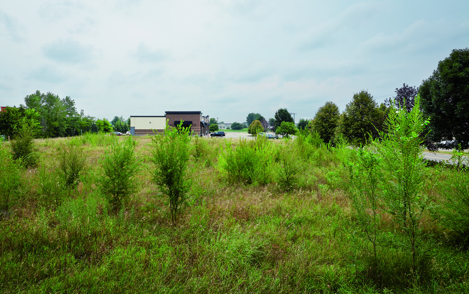 Credit Line: “Anthony Gilbert © Gaffer Photography”