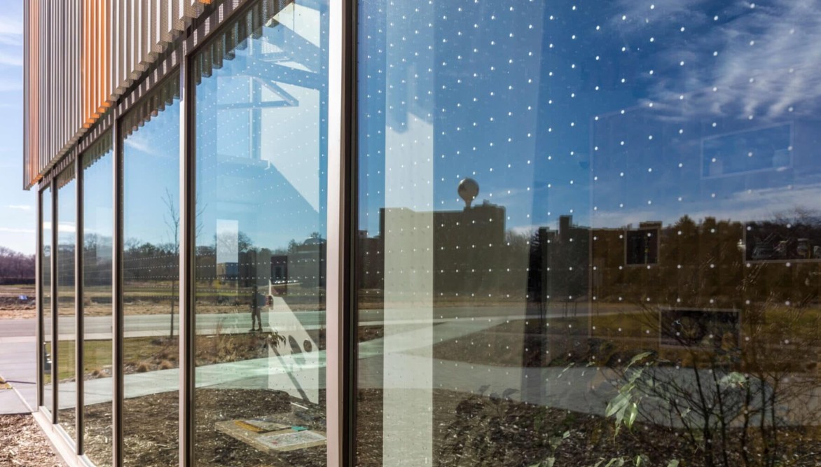 bee_lab_etched_glass
