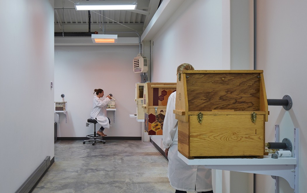 bee_lab_lab